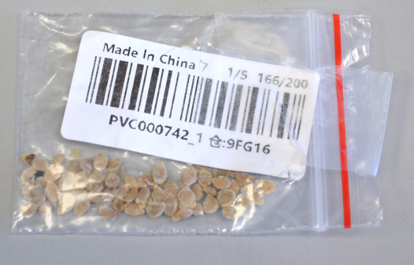 china seed tomato seeds usda flickr