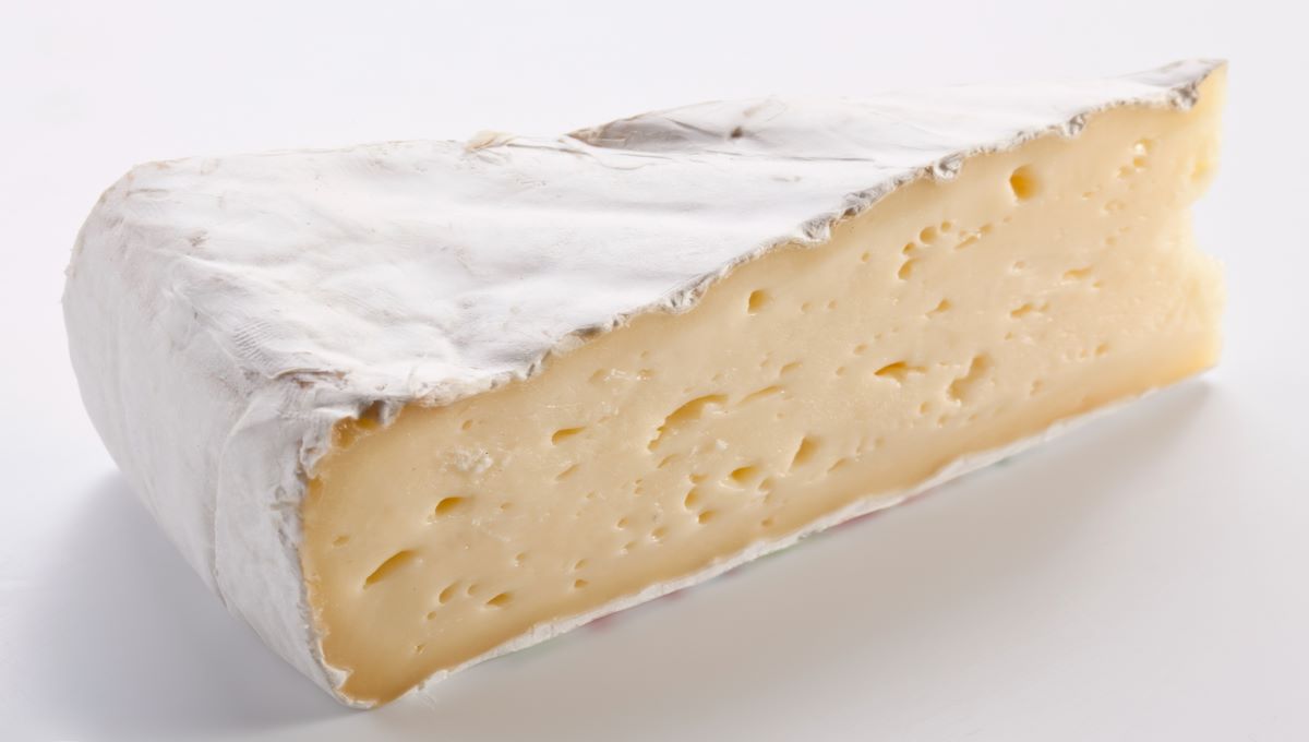 dreamstime_brie cheese dairy