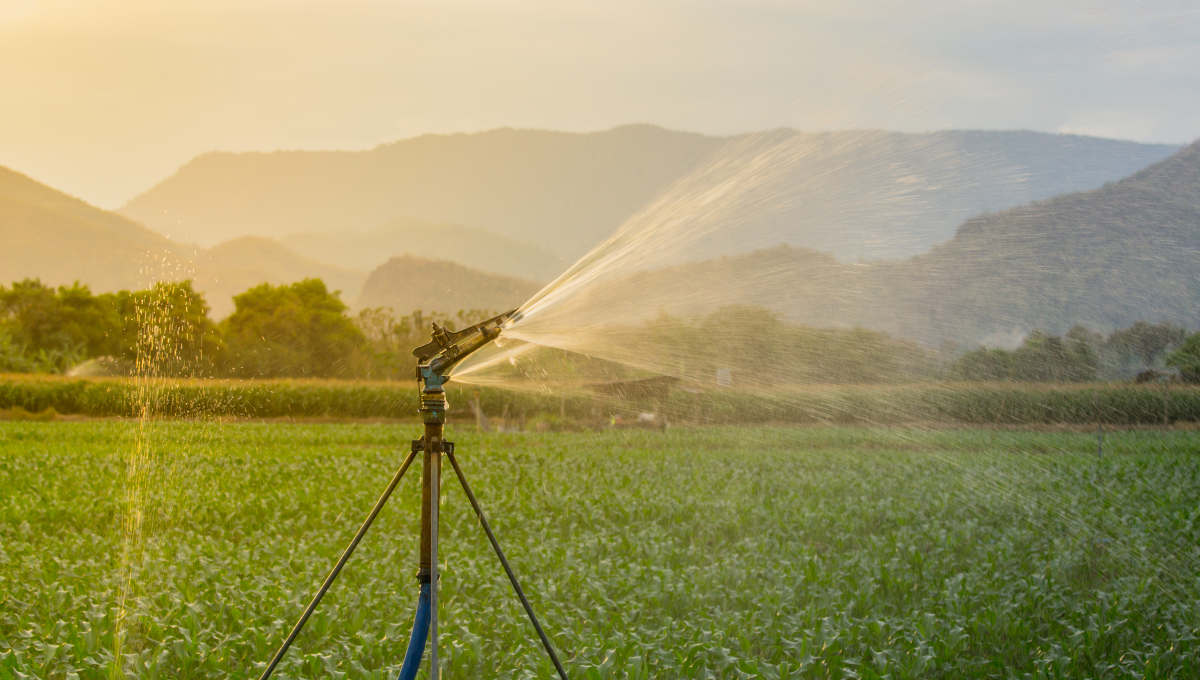 Agriculture water