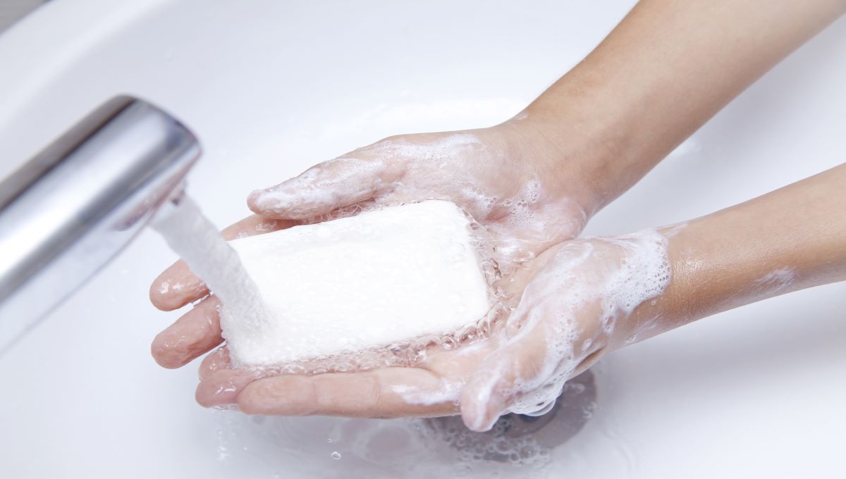 Expected handwashing rise not reflected in surveys in Australia, US - Food Safety News