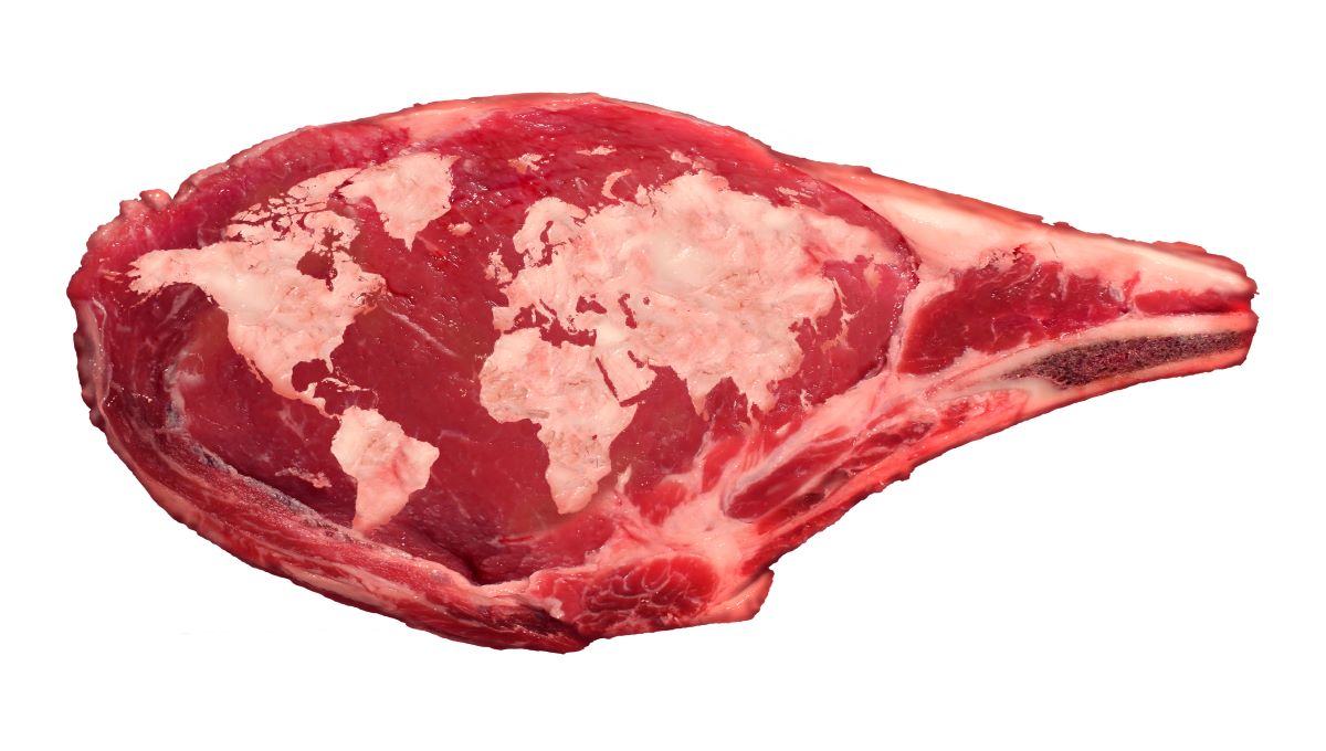 dreamstime_meat world global trade