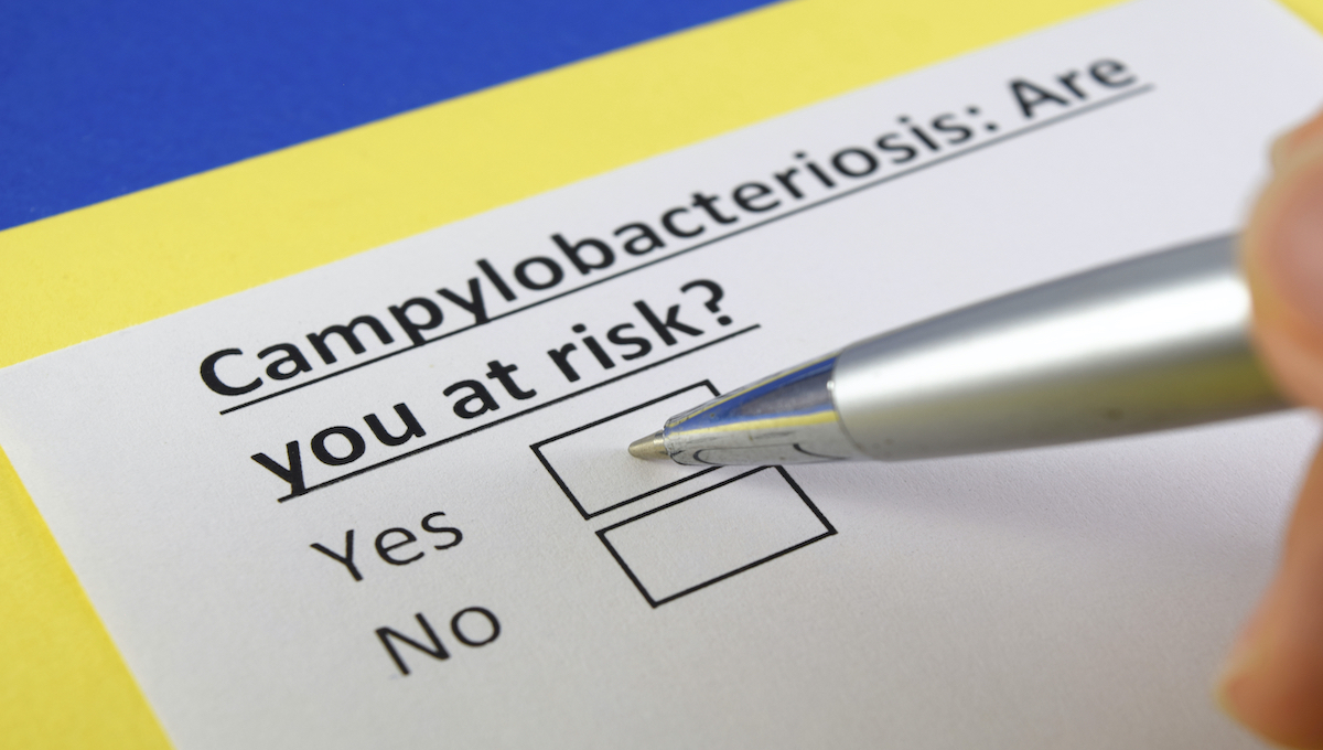 New Zealand Meals Protection improvements plan to cut down campylobacteriosis