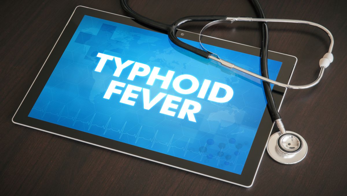 dreamstime_typhoid fever salmonella typhi infectious diseases