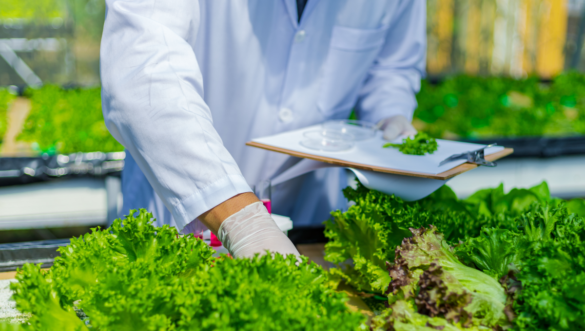 Farm Inspection