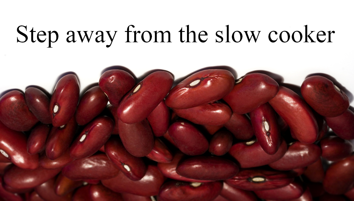 illustration red kidney beans slow cooker