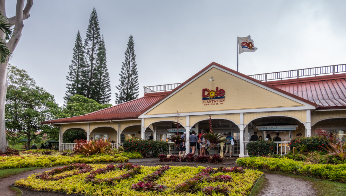 Dole plantation