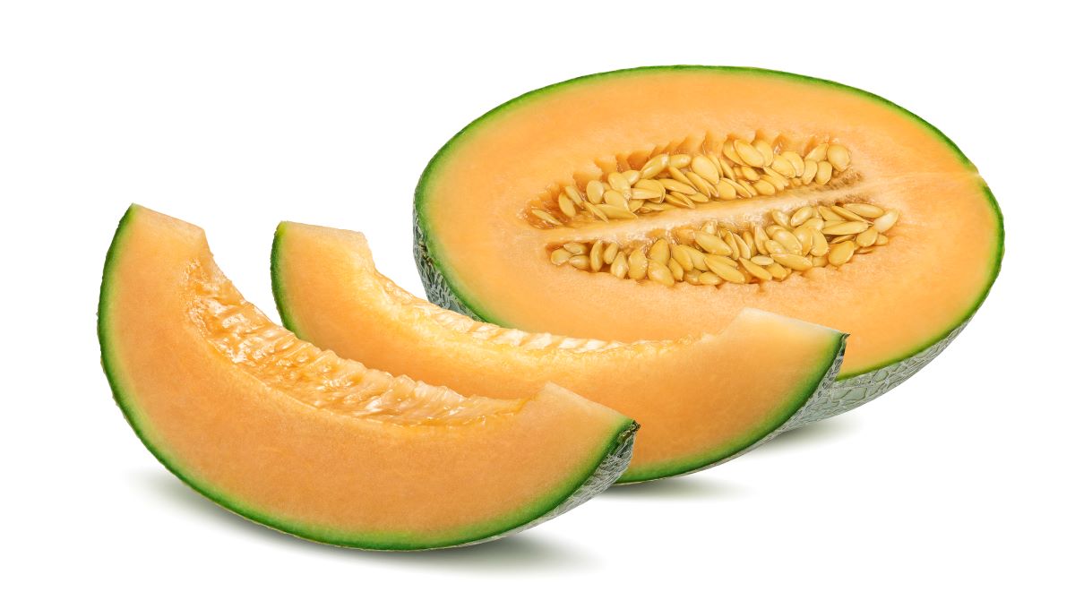 Large Salmonella outbreak linked to melons