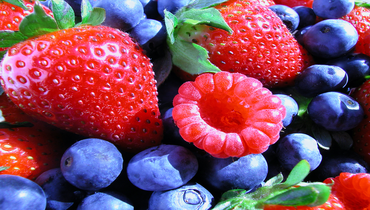 Audit finds fruit contamination may go undetected in Ukraine - Food Safety News