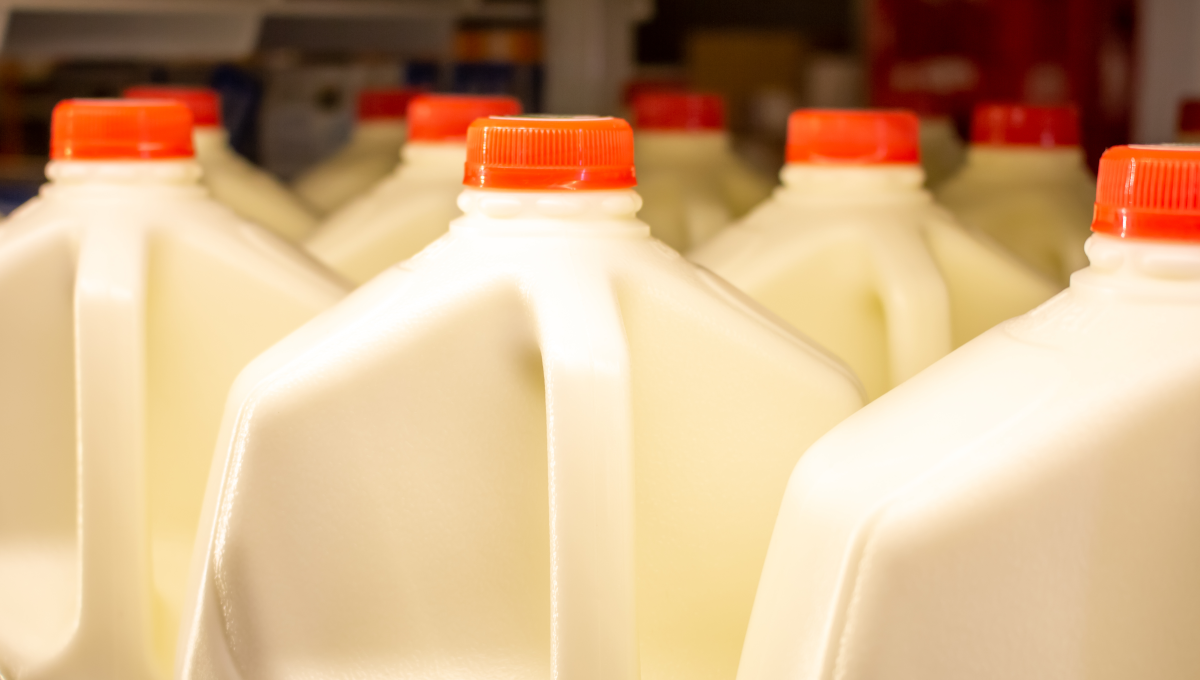 Maine CDC on X: Raw milk and products made with raw milk can cause mild or  even severe illness. Raw milk has not been pasteurized, which is the  process that kills disease-causing