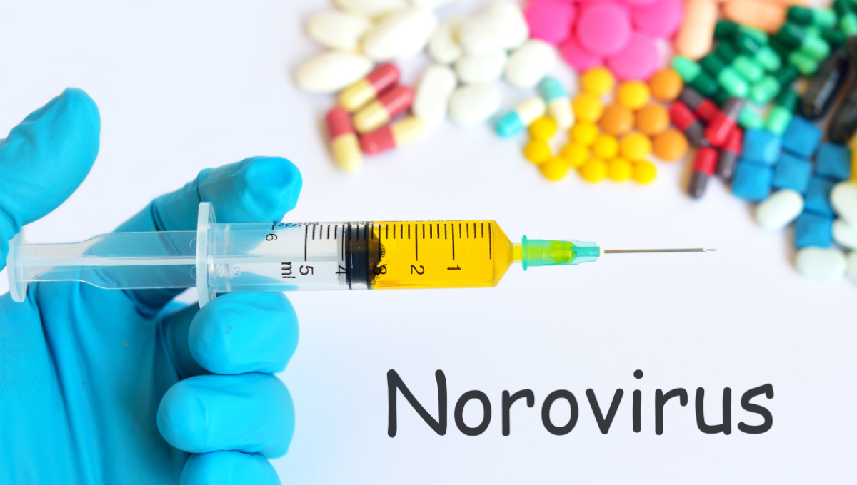 Norovirus