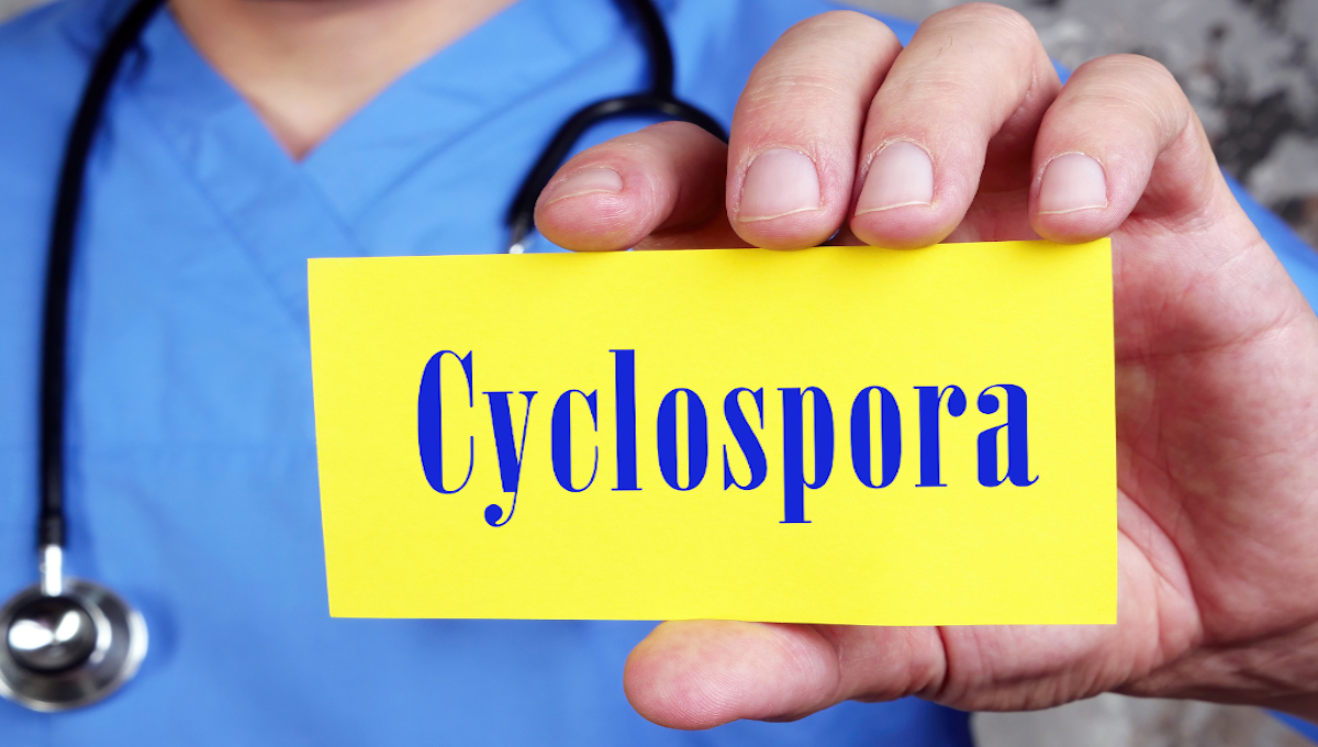 cyclospora graphic