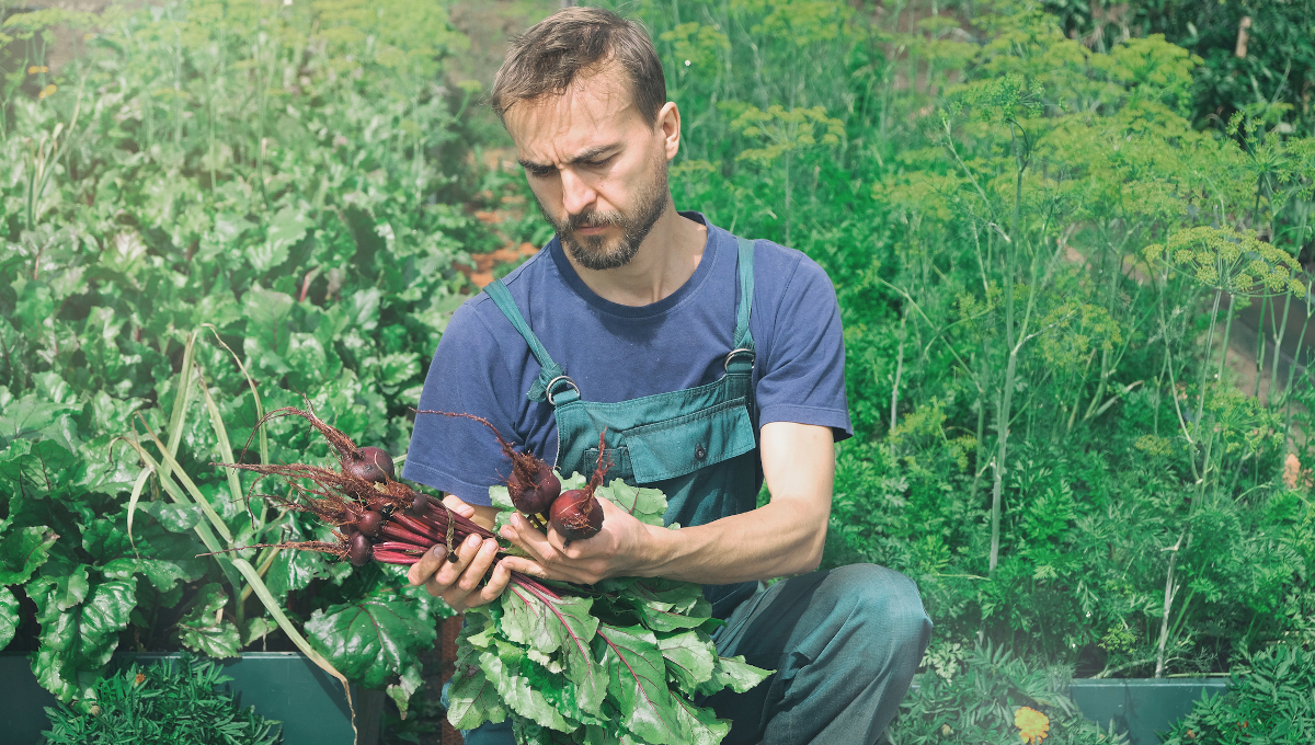 small farmer sustainable farming