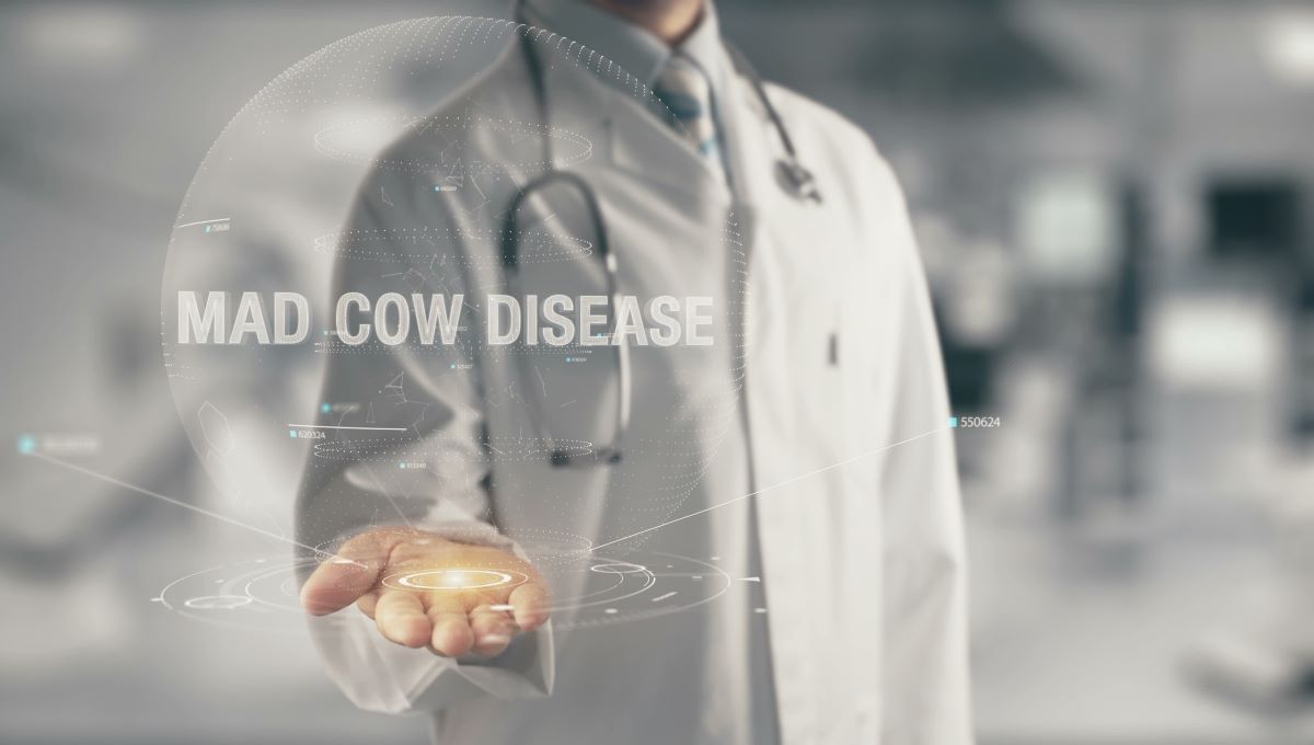 dreamstime_mad cow disease bse beef