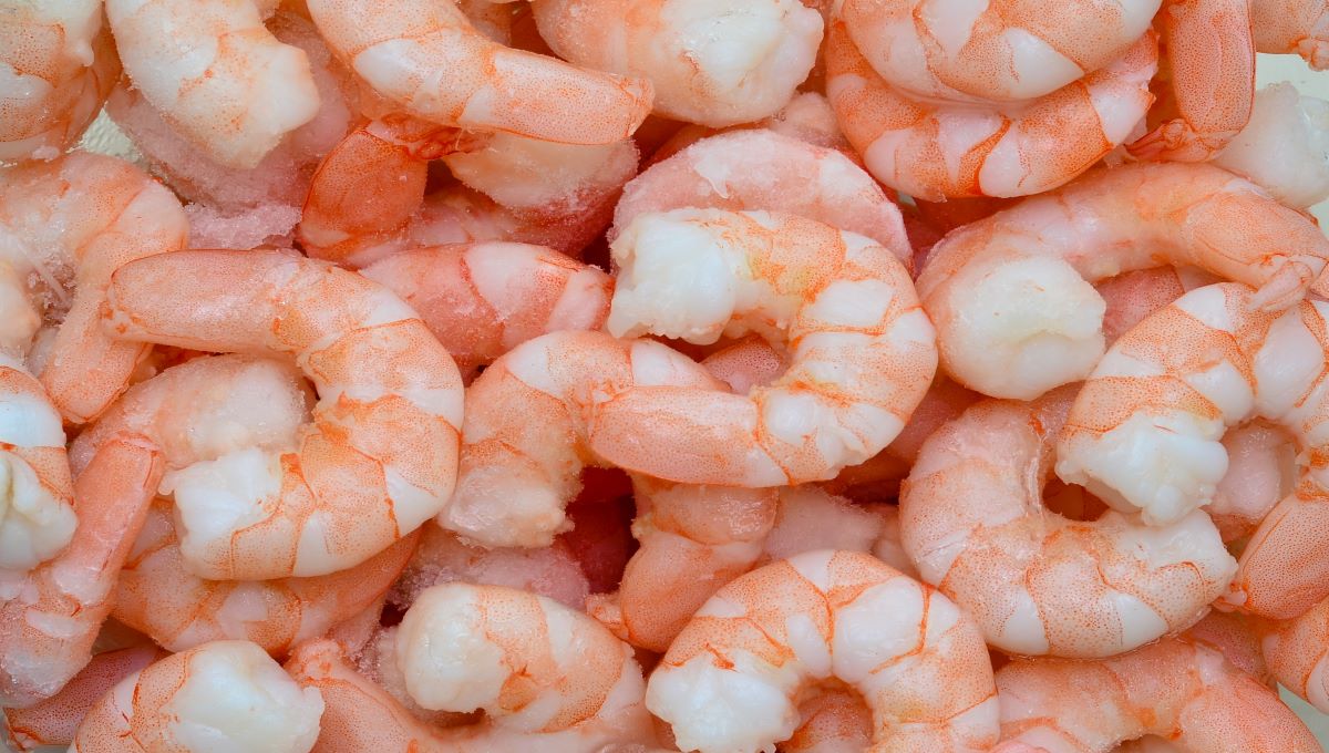 dreamstime_prawns seafood