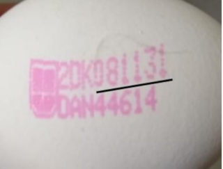 Danaeg Salmonella Recall Egg