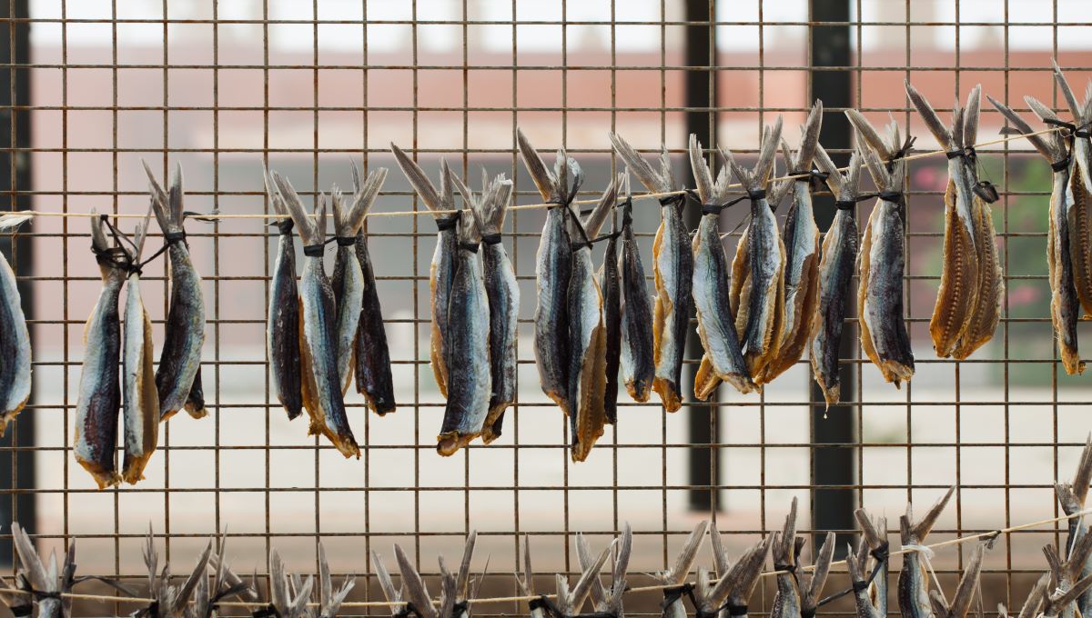 dreamstime_dried fish food drying outdoors outside