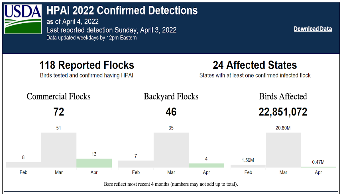 avian flu birds 04-04-22