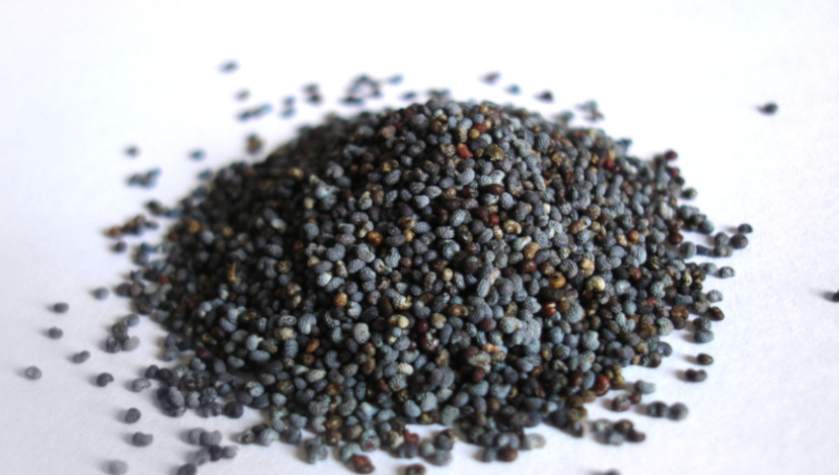 poppy seeds