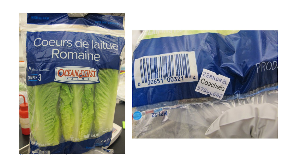 recalled Ocean Mist romaine