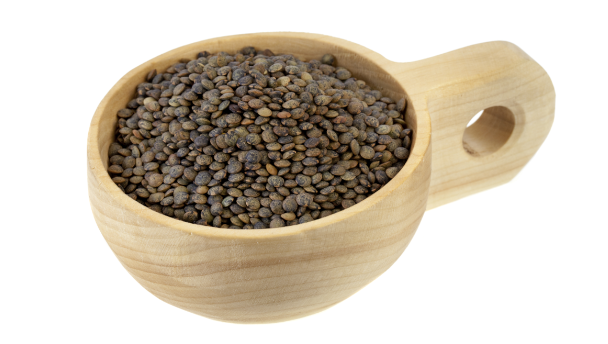 French lentil