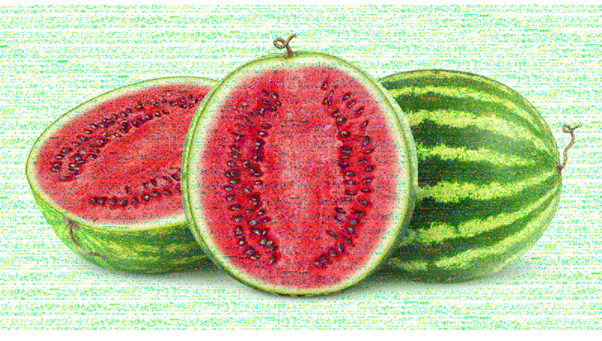 Isolated watermelons