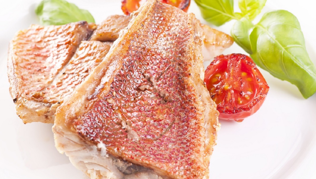 dreamstime_red snapper steak ciguatera ciguatoxin