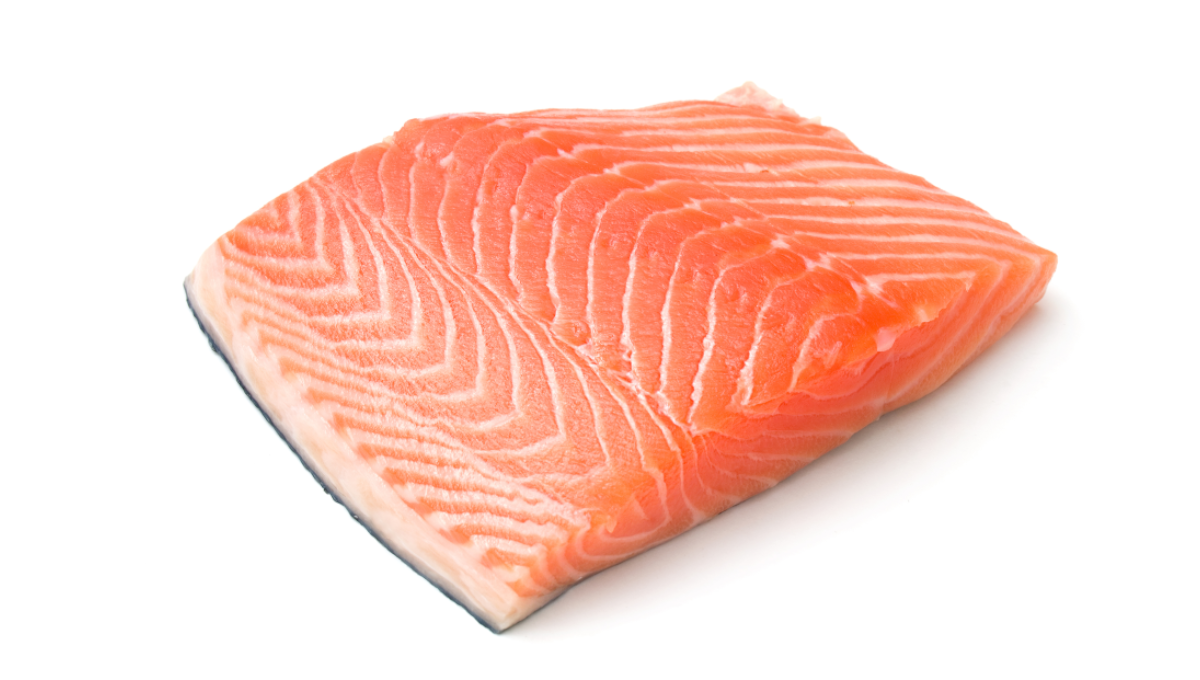 Salmon