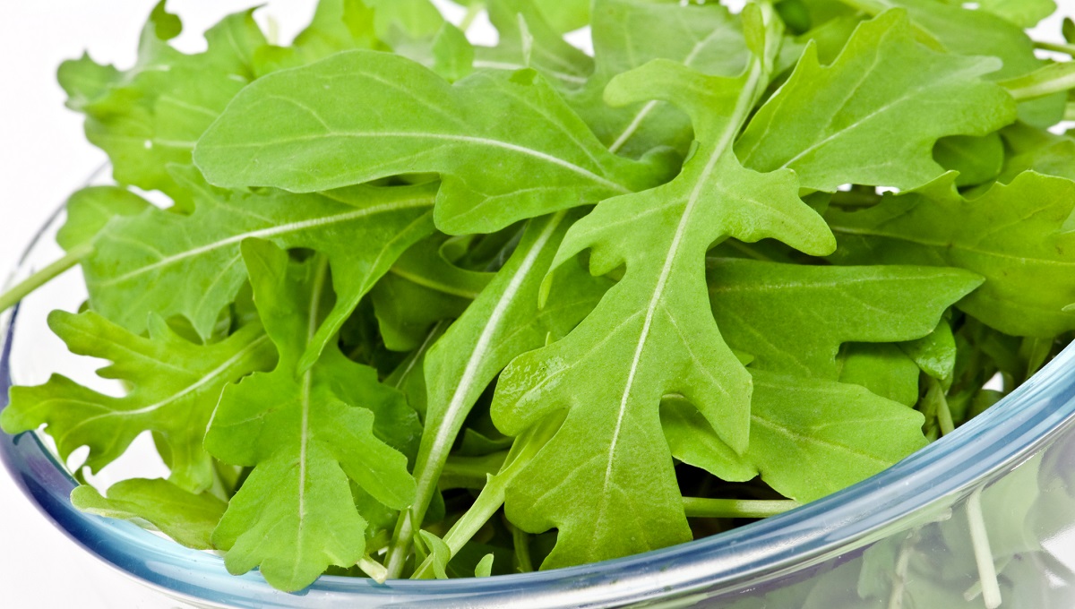 dreamstime_arugula salad rocket