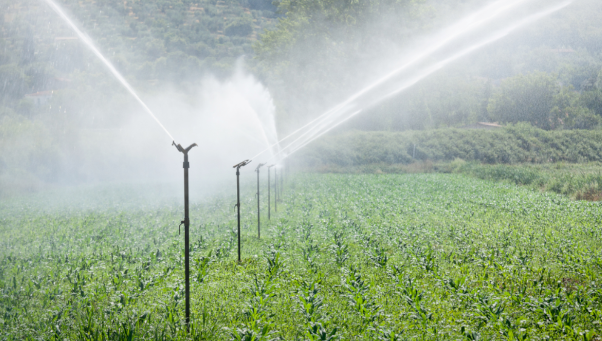 Agricultural Water