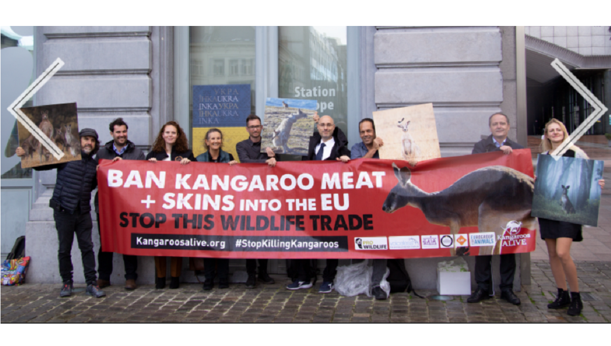 EU rejects call to ban kangaroo meat imports | Food Safety News EU rejects call to ban kangaroo meat imports | Food Safety News