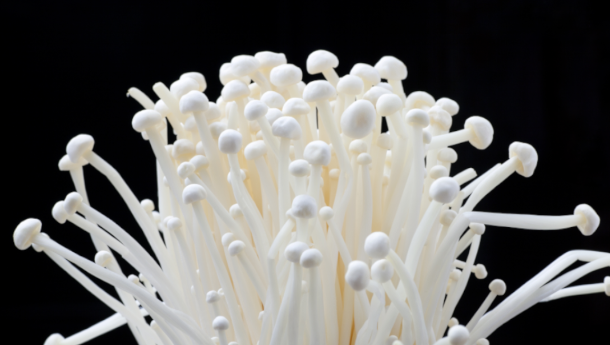 Enoki mushrooms