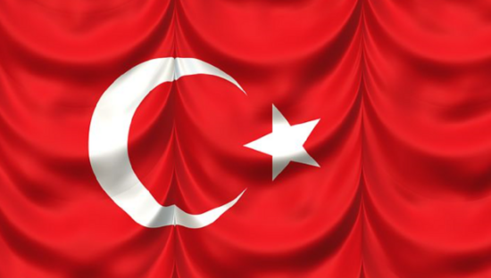 Study assesses food supplied to survivors of Turkish earthquake