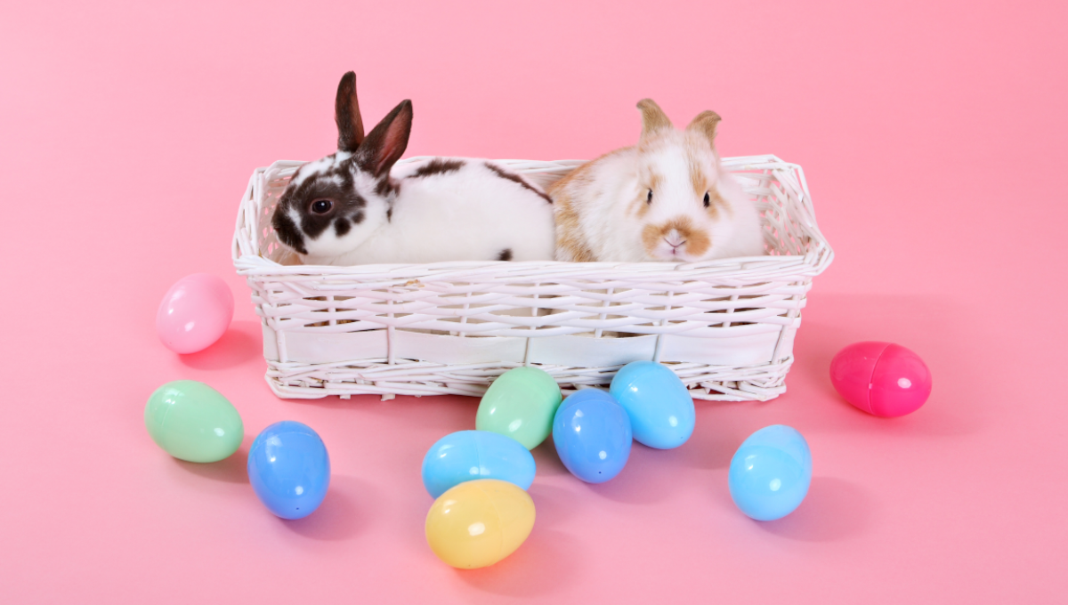 Easter bunnies