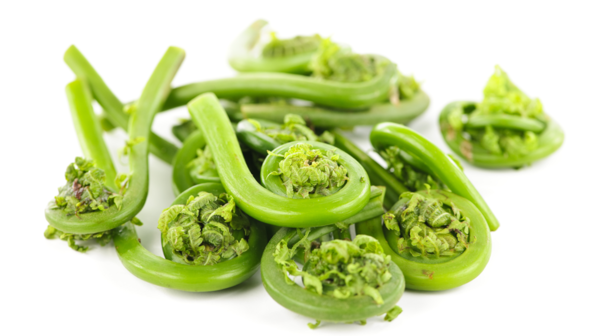 Fiddleheads