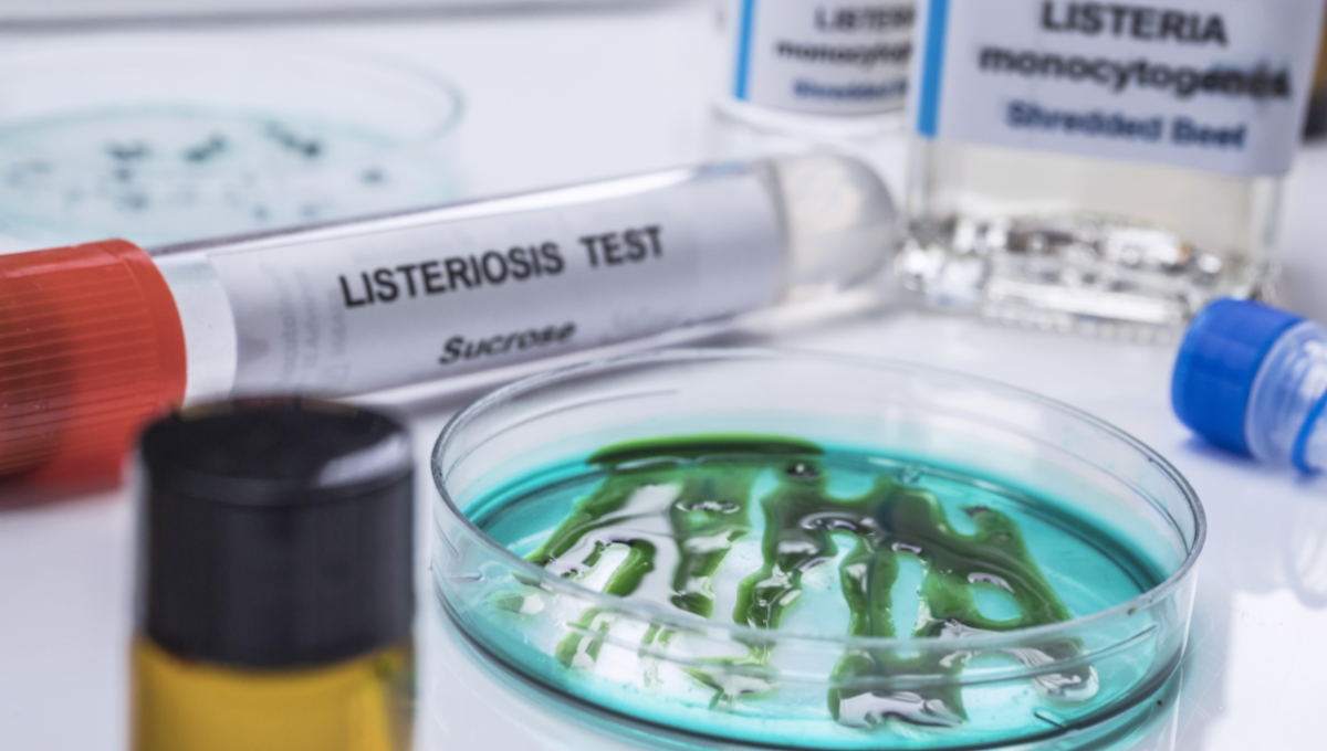 Listeria research