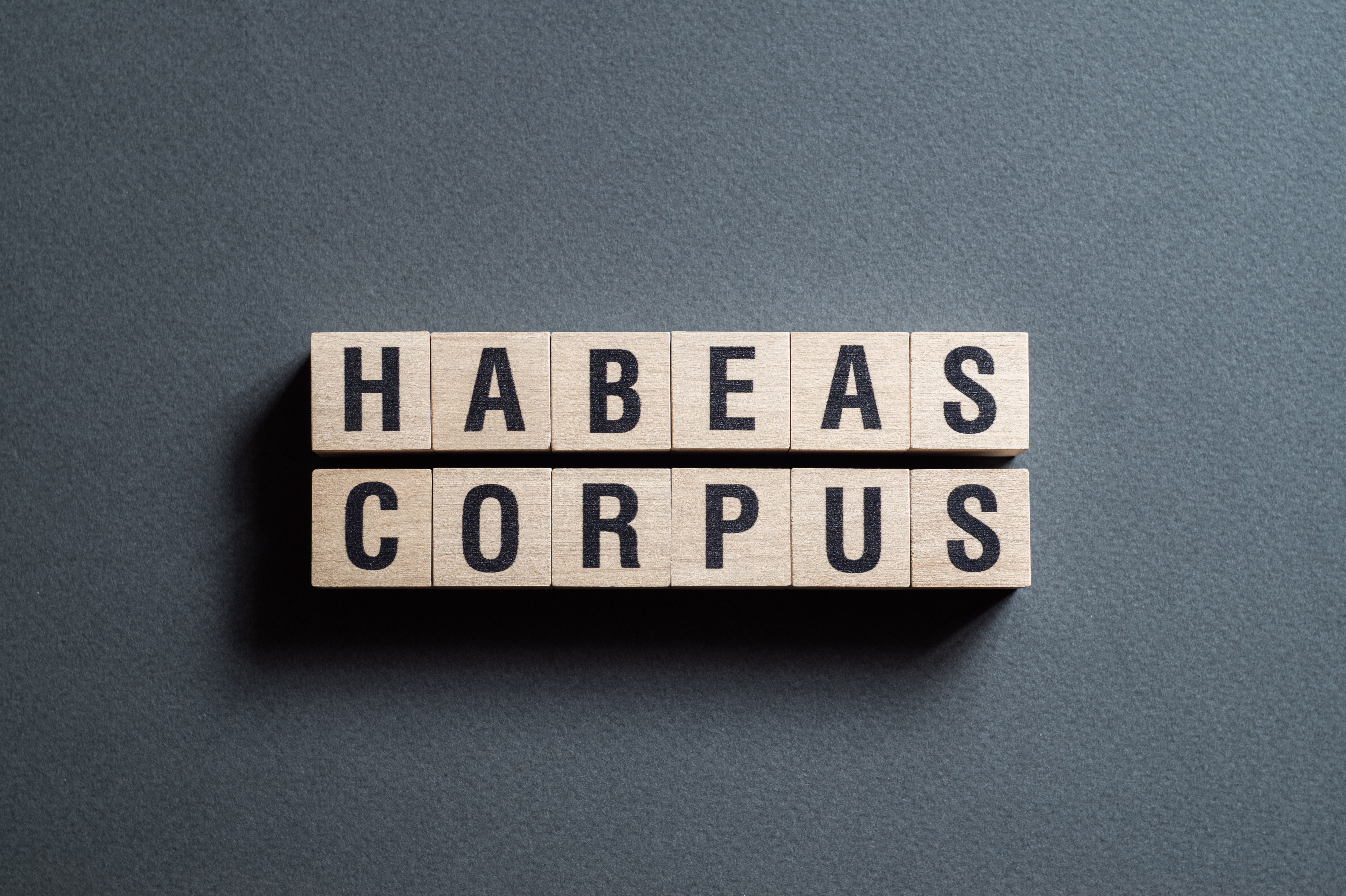 Habeas corpus - word concept on cubes