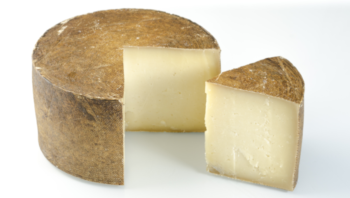 Sheep milk cheese