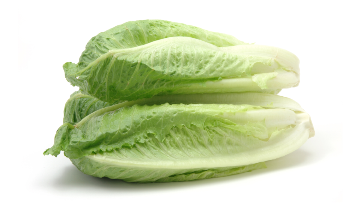 Romaine lettuce