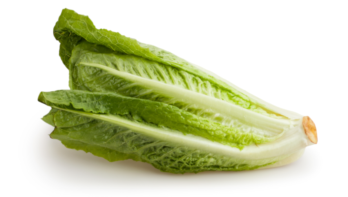 Romaine lettuce