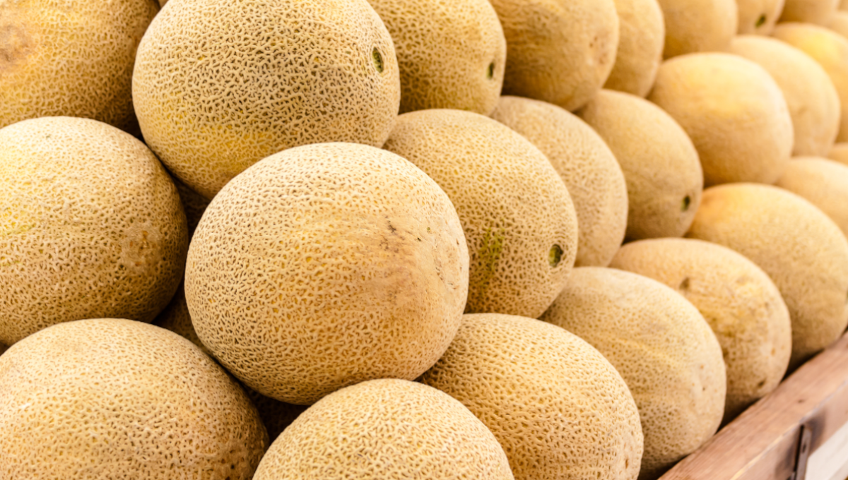 cantaloupes