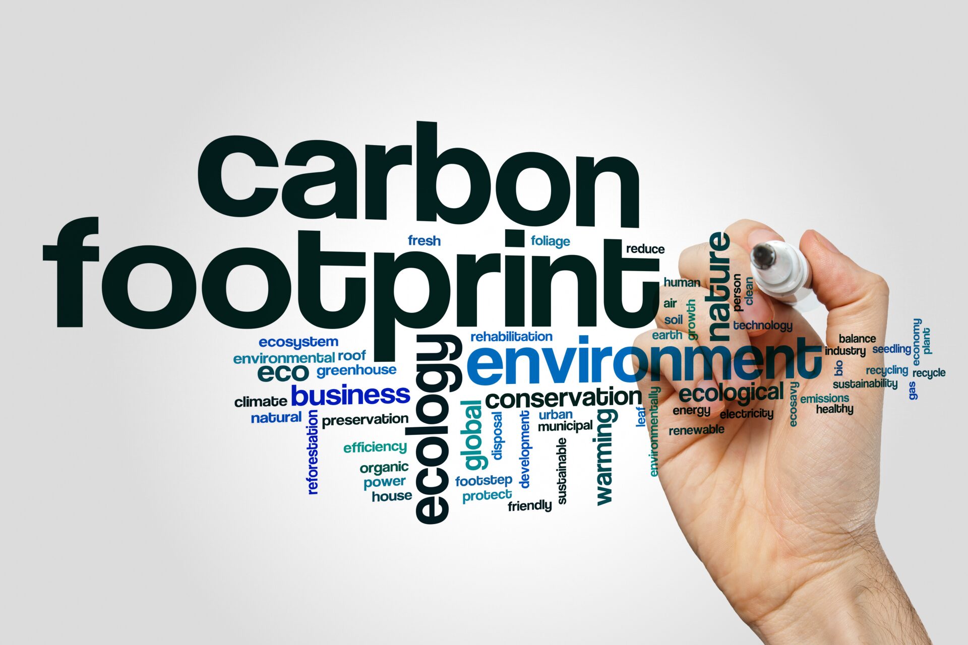 carbon footprint