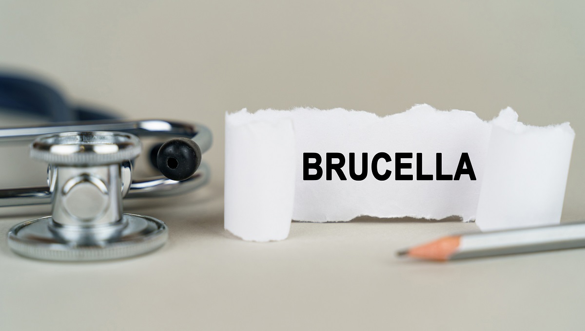 dreamstime_brucella brucellosis