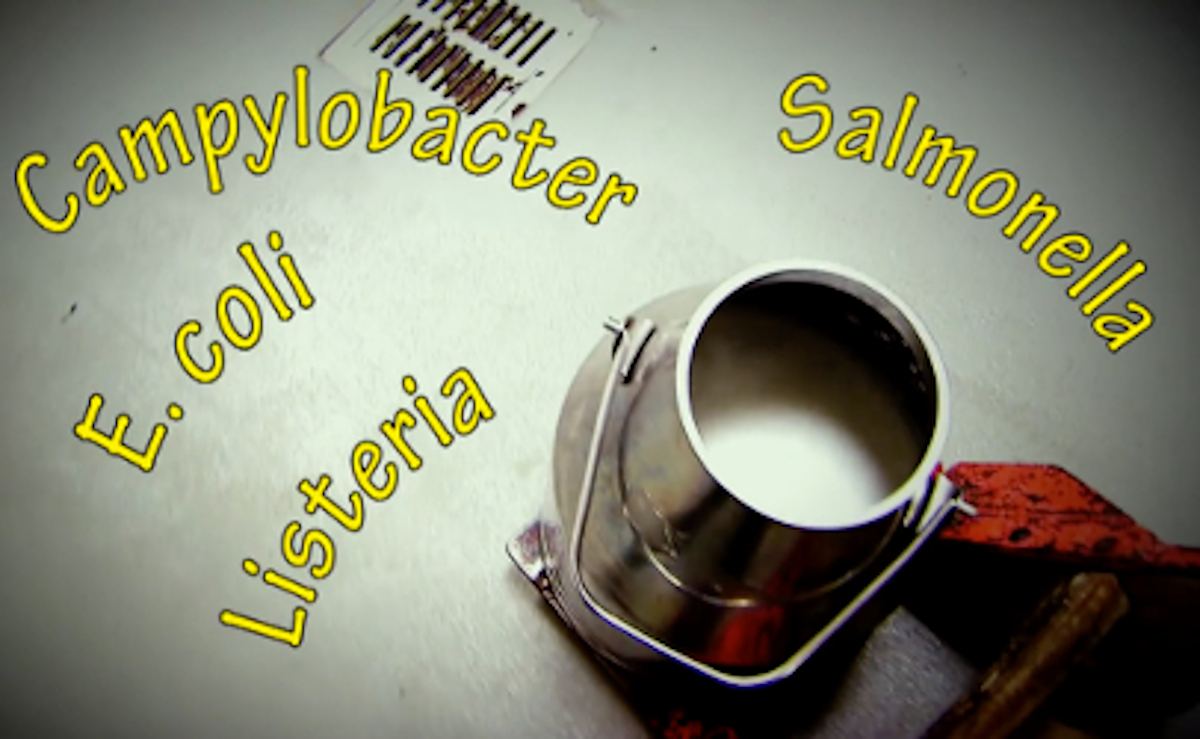 raw milk bucket pathogens