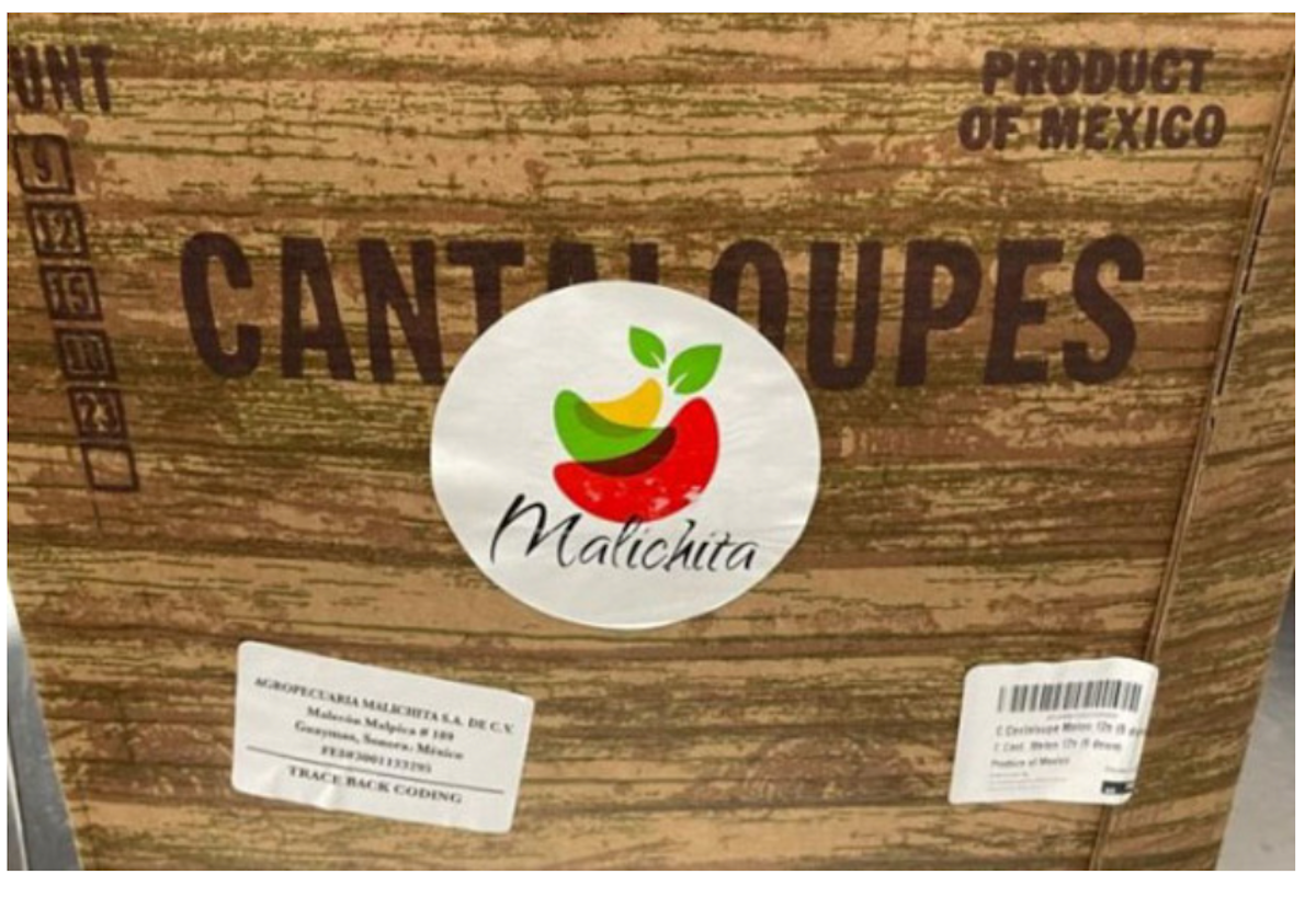 recalled cantaloupes CFIA Salmonella