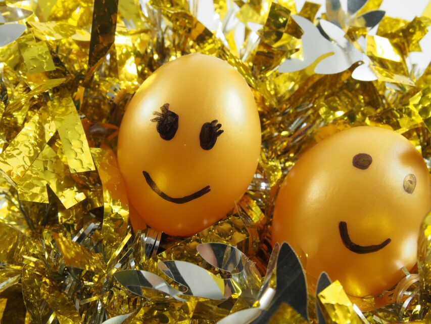 twin eggs