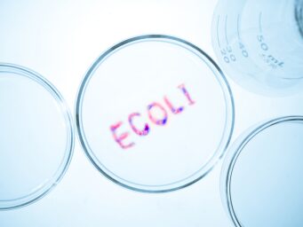 ECOLI