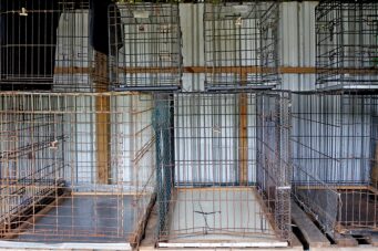 cages