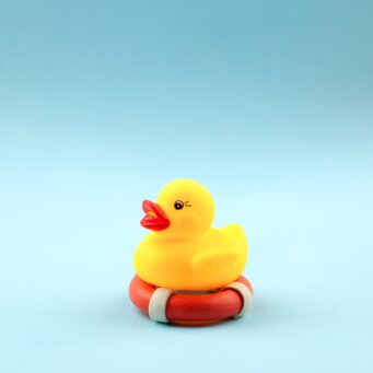 duck rescue