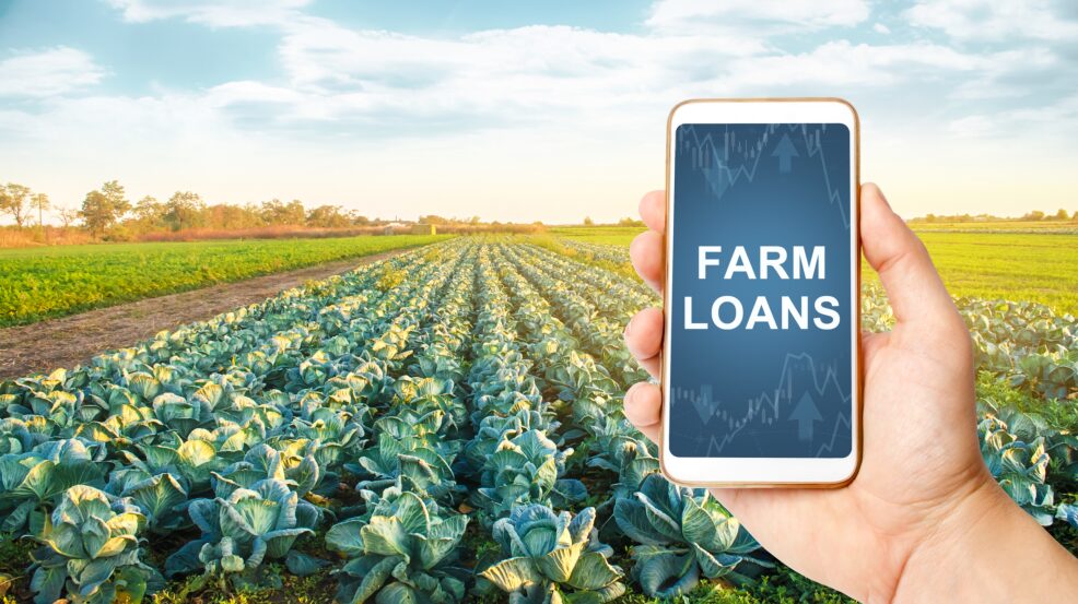 Farm Loans