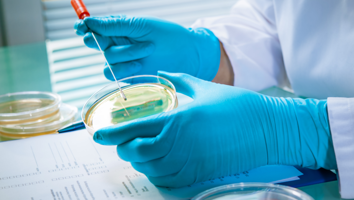 Listeria test